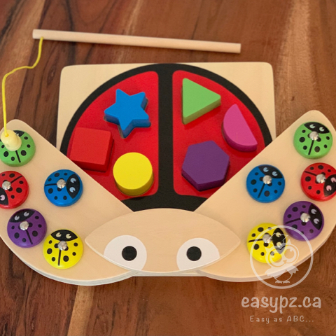 Jouet de capture de coccinelle magnétique